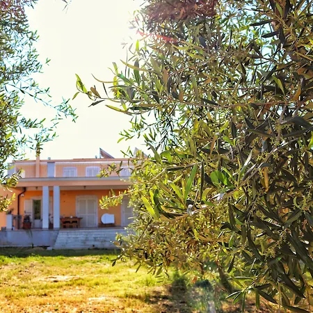 Maria Di Venere 3*